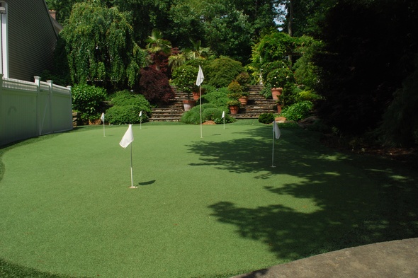 Backyard putting green