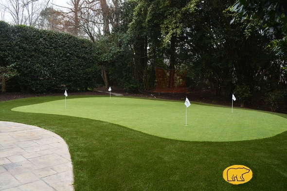 Backyard putting green