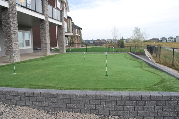 Residential backyard putting green grass