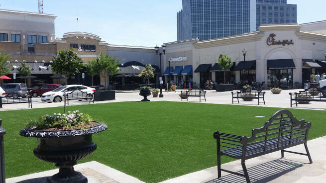 Commercial landscape turf