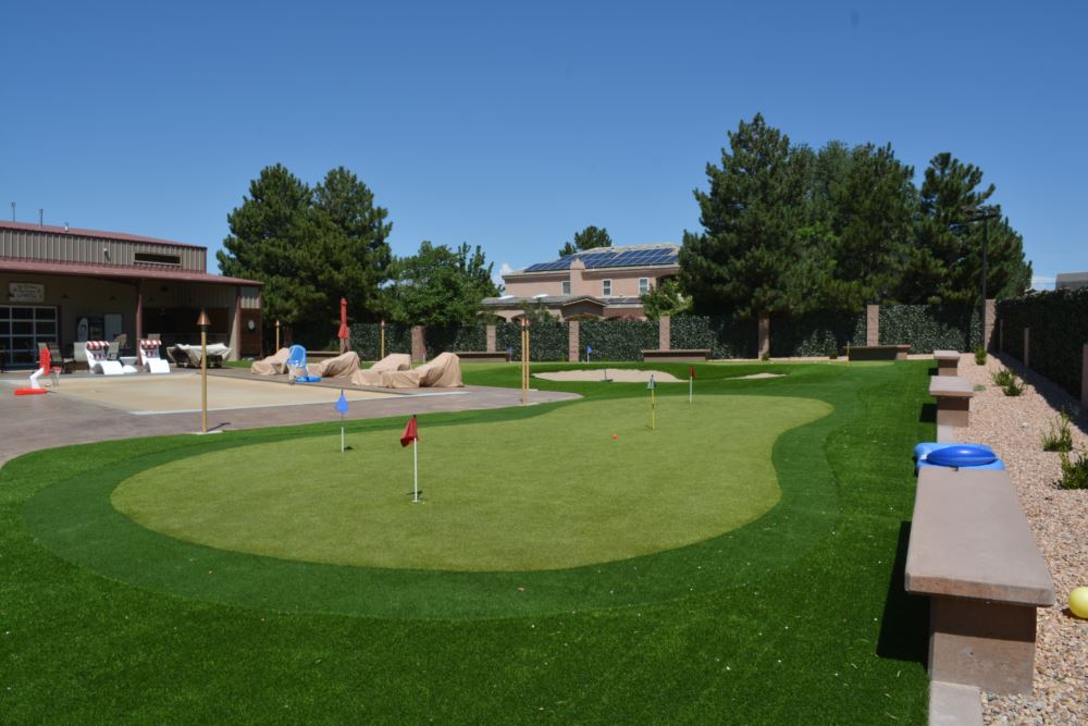 Backyard putting greens with multiple holes, smooth artificial turf, and landscaped surroundings designed for practicing golf at home.