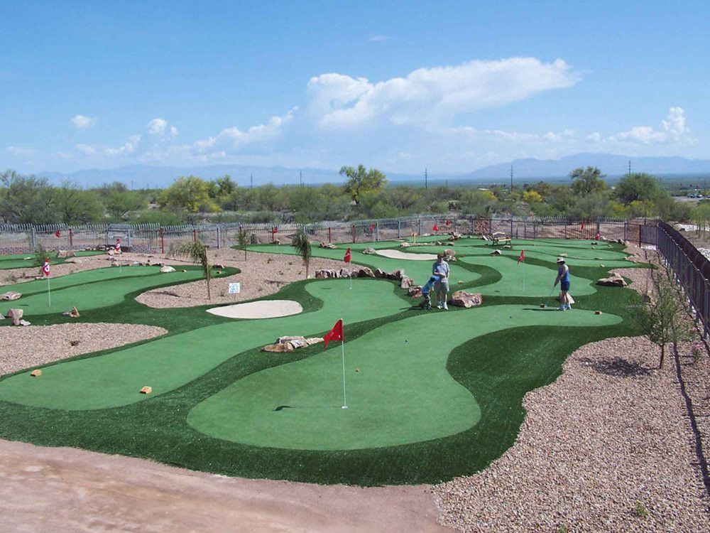Putting green grass
