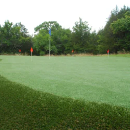 What Makes a Backyard Putting Green in  Worth It?
