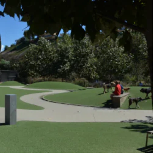 What to Review Before You Spec a Dog Park Surface