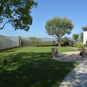 Olive tree and artificial turf lawn with wrought iron fencing and hillside views