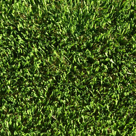 GB025_Spring&#32;Green_Jute