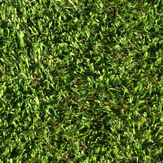 GB040_Spring&#32;Green