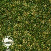Close up image of artificial grass that is green with some brown strands.