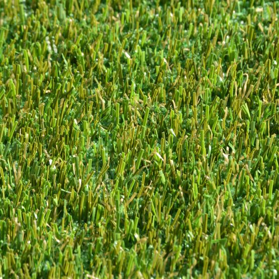 GB155_Spring&#32;Green