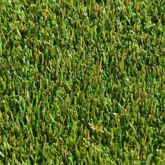 GB157_Spring&#32;Green