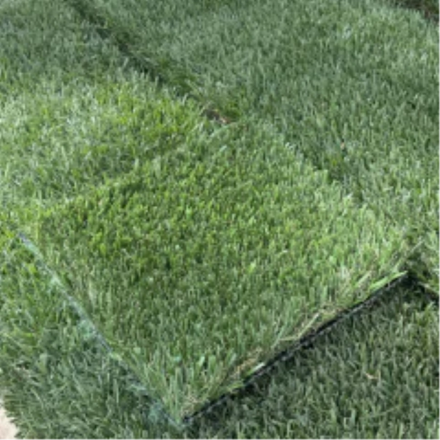 Introducing Wide Blade Turf