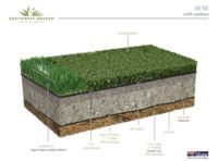 cross section - ny tee with cushion