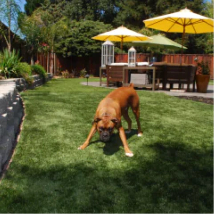 How fake grass for dogs Upgrades Your Lawn