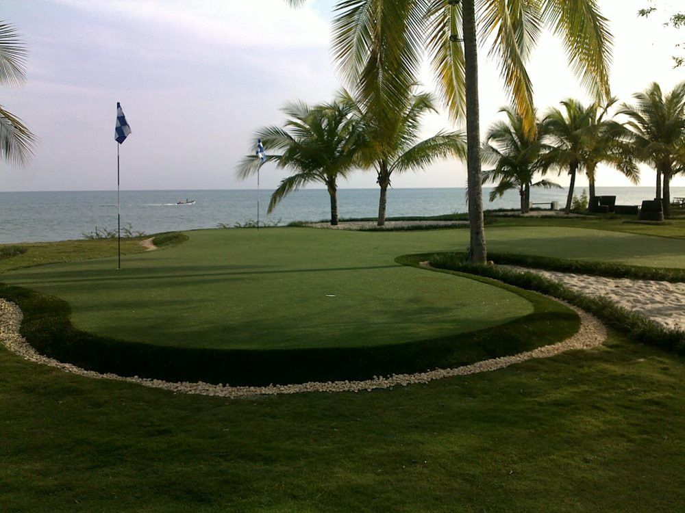 Artificial grass landscaping