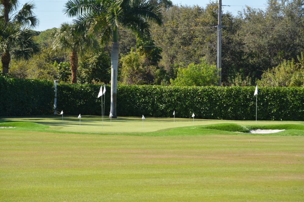 An artificial grass putting green in the distance with real grass in front of it