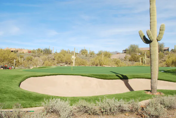 Phoenix golf green bunker