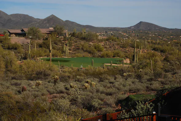 Phoenix golf green