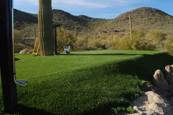 Phoenix golf green