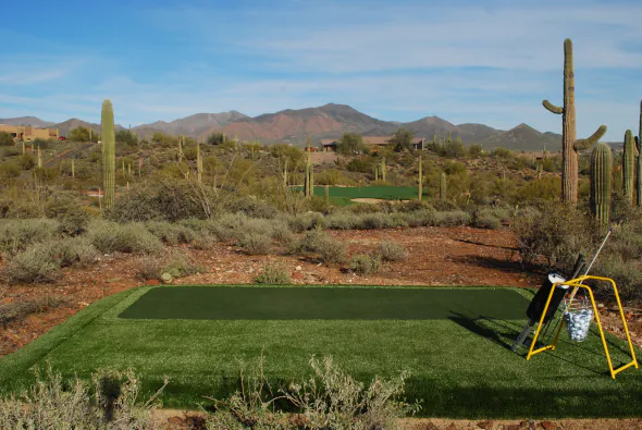 Phoenix golf green tee stations