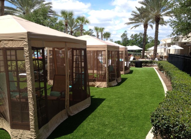 Commercial landscape turf