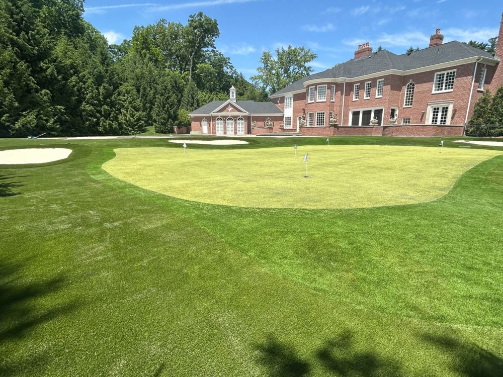 Golf putting green in front of a 2 story house